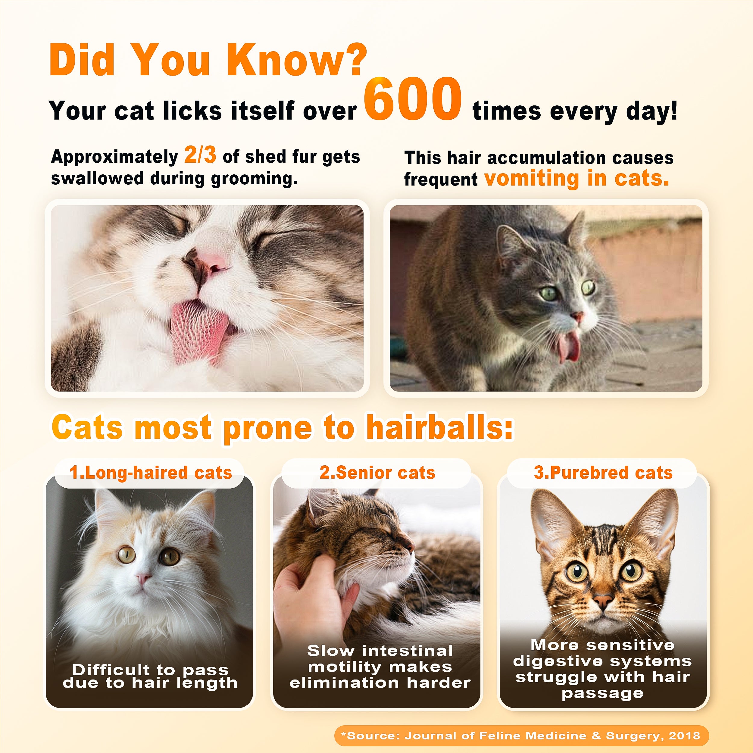 Petterm Probiotic Hairball Powder Supplement