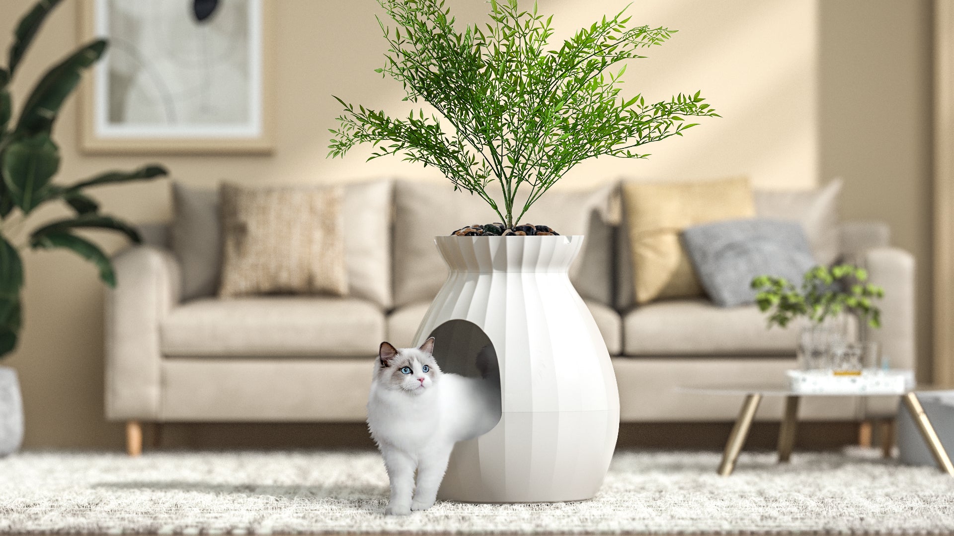 Concealing Cat Care: The Innovative Plant Litter Box - Petterm