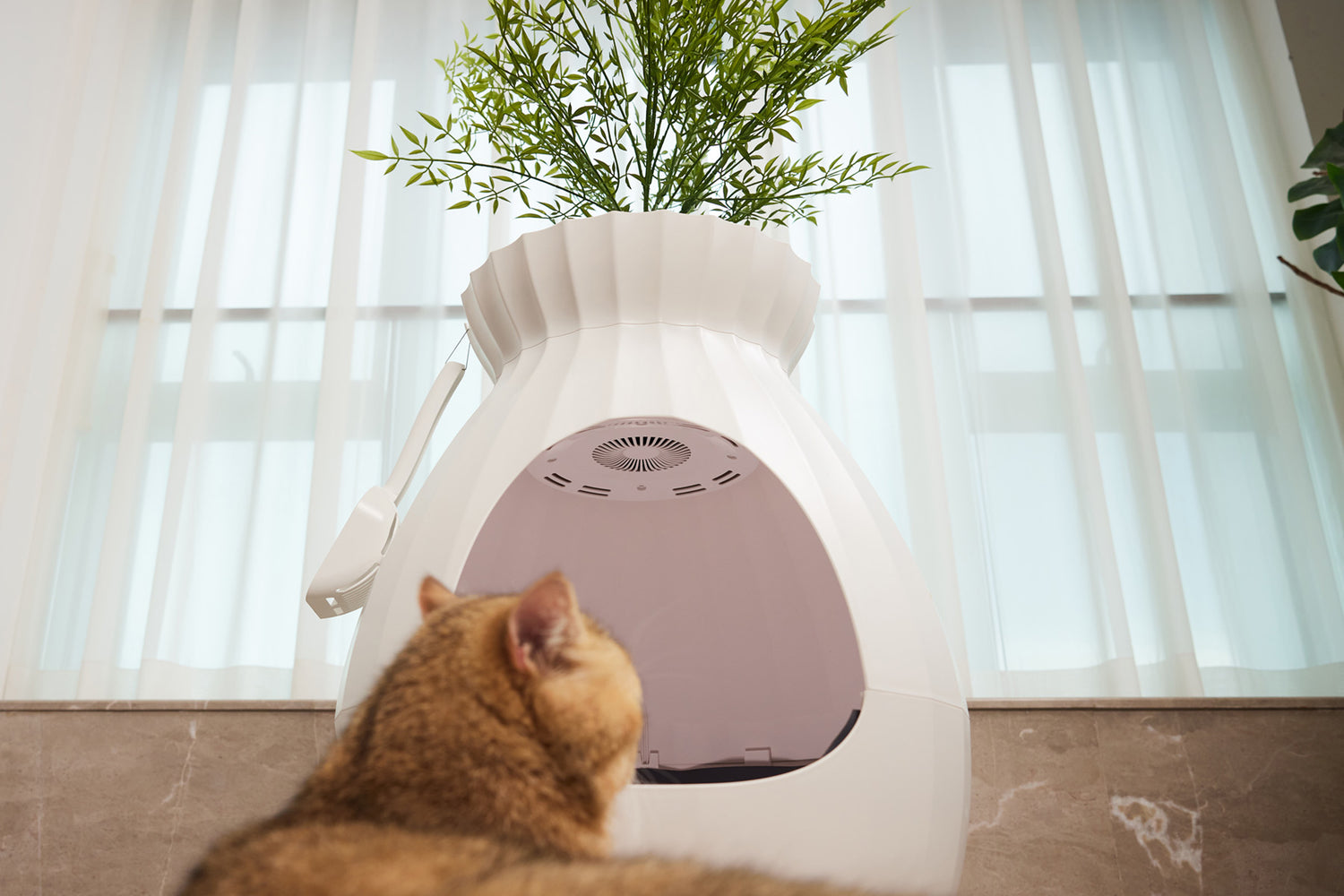Exploring the Power of Negative Ions and Plasma for Odor Elimination - Petterm