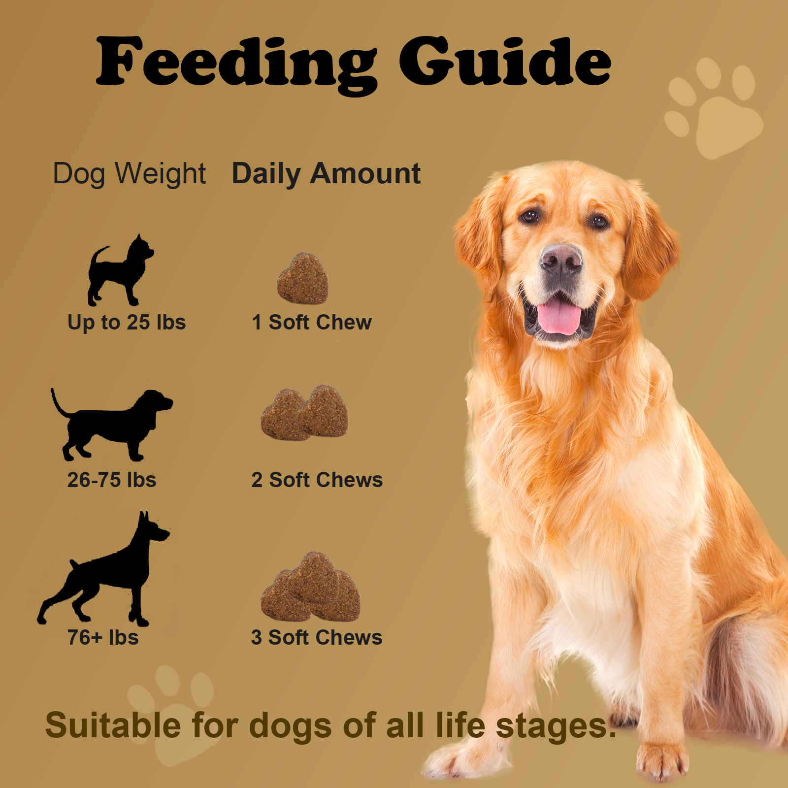 Petterm Muscle Gain Soft Chews for Dogs