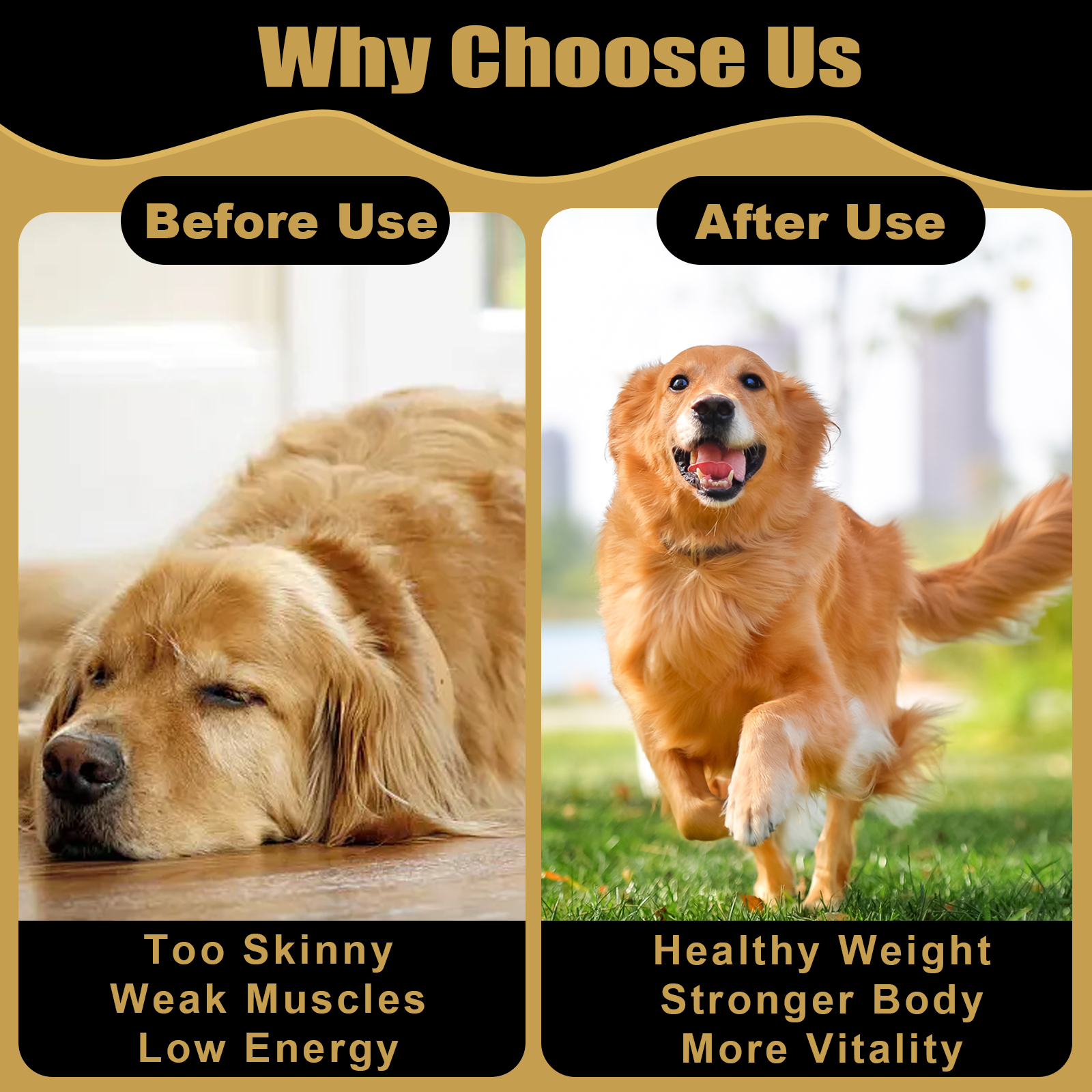 Petterm Muscle Gain Soft Chews for Dogs