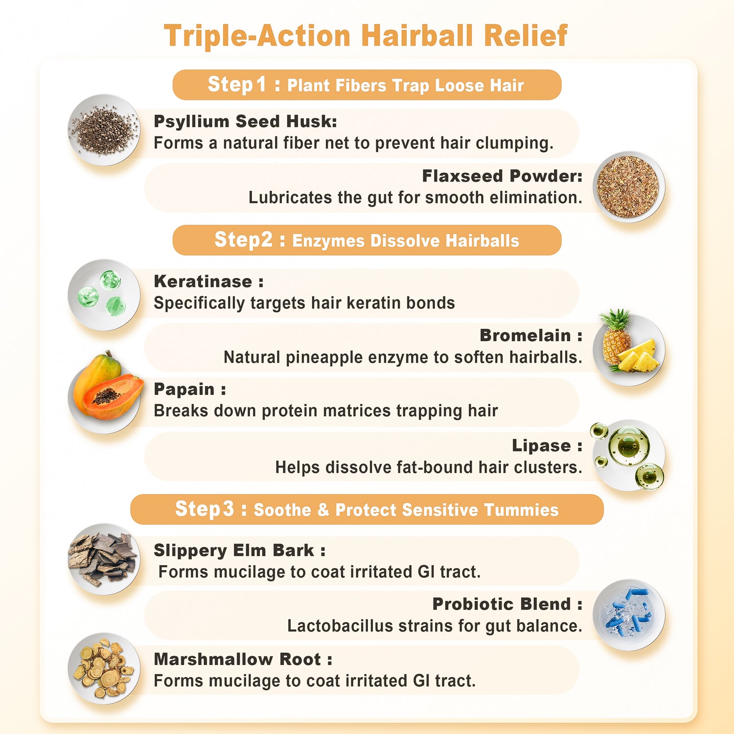 Petterm Probiotic Hairball Powder Supplement