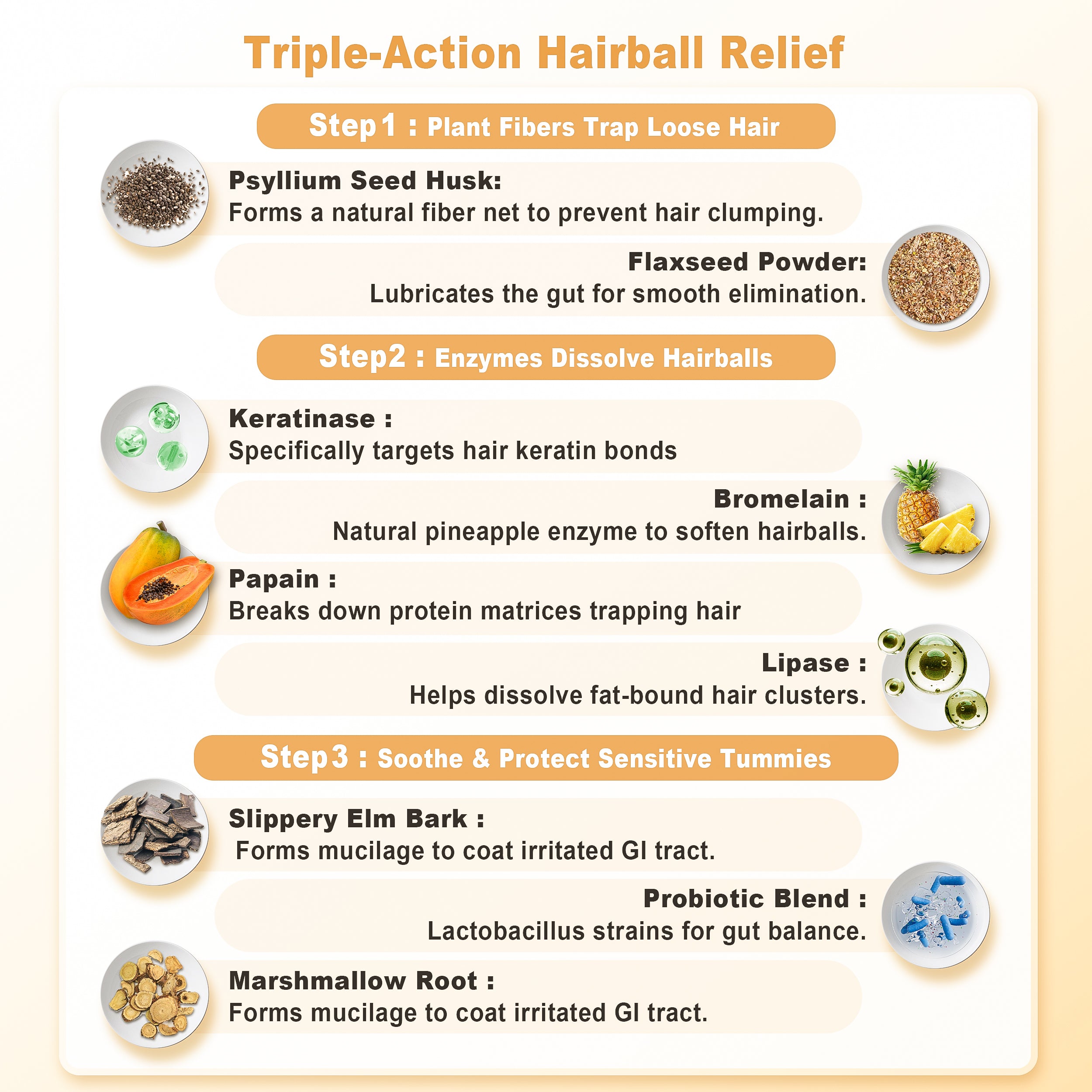 Petterm Probiotic Hairball Powder Supplement